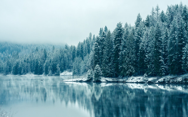 Lake trees snow foggy sky free wallpaper - medium preview image