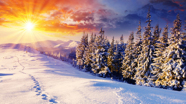 Snowy landscape sunset trees trail free wallpaper - medium preview image