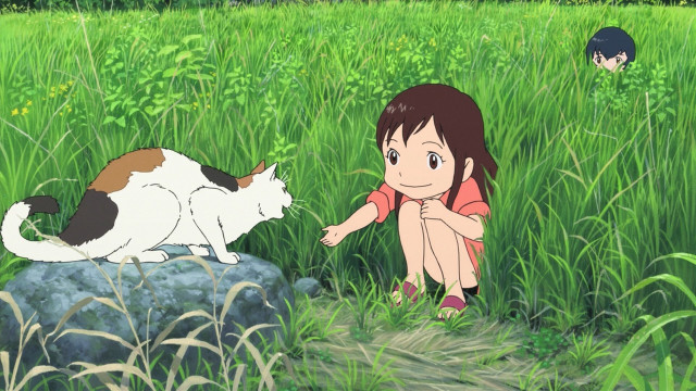 Girl kneeling cat field grass free wallpaper - medium preview image