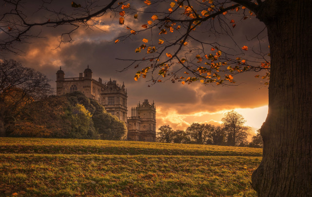 Castle tree field grass foreground free wallpaper - medium preview image