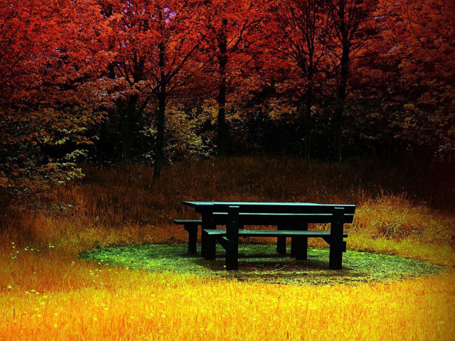 Bench field trees red sky free wallpaper - medium preview image