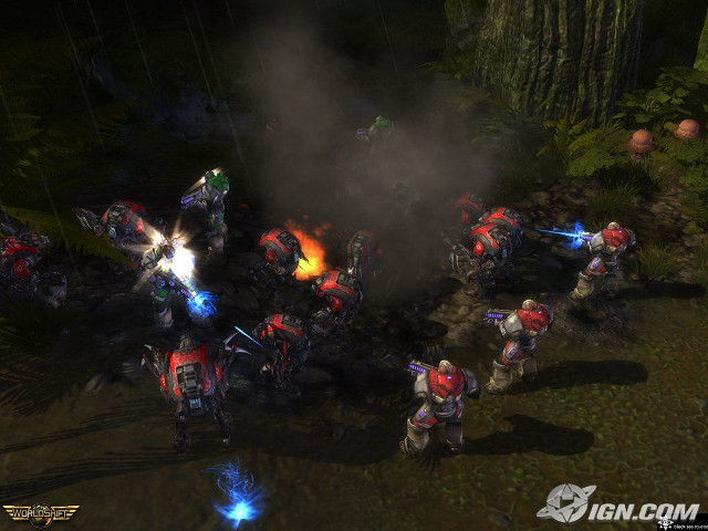 People forest fire group gathering free wallpaper - medium preview image