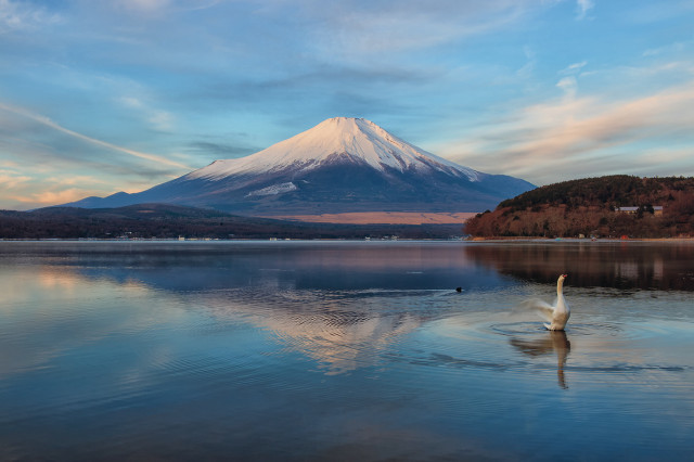 Swan mountain reflection sunset water free wallpaper - medium preview image