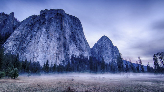 Mountain foggy field trees foreground free wallpaper - medium preview image