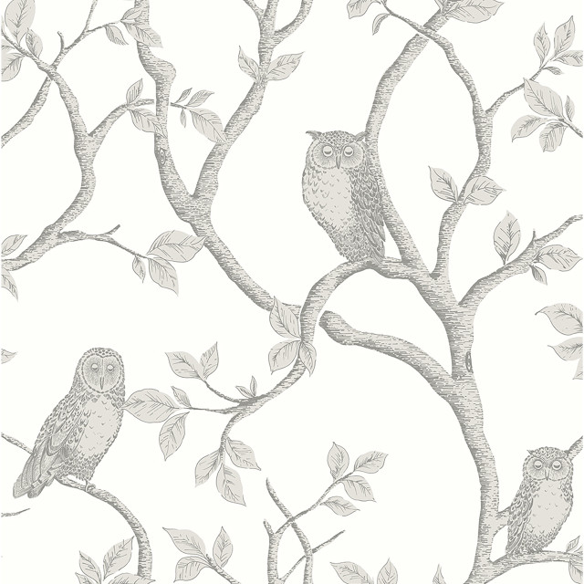 Owls tree branch leaves background free wallpaper - medium preview image
