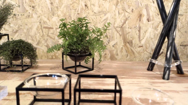 Table plants stone wall indoor free wallpaper - medium preview image