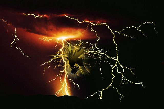Lightning storm bird dark sky free wallpaper - medium preview image