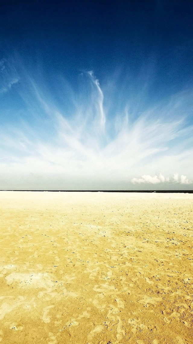 Lone horse vast field blue free wallpaper - medium preview image