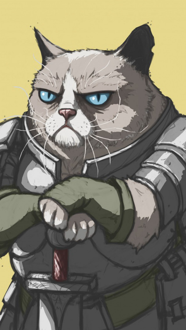 Cat sword yellow background image free wallpaper - medium preview image