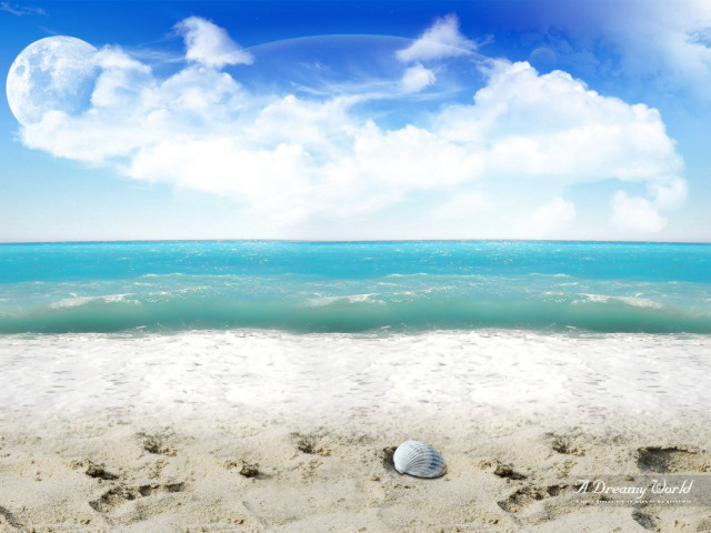 Seashell sandy beach blue sky free wallpaper - medium preview image