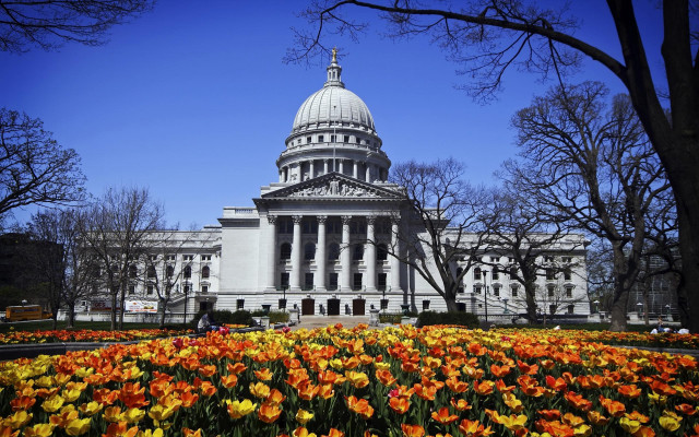 Building dome field flowers trees free wallpaper for desktop - medium preview image