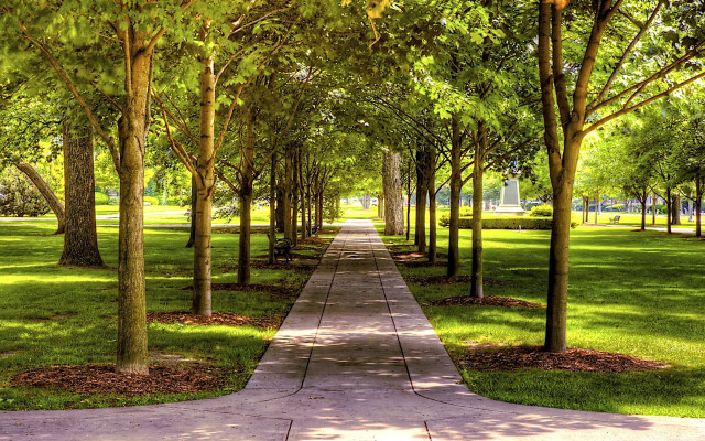 Pathway park trees grass bench #2 free wallpaper - medium preview image