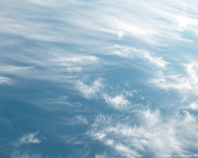 Plane flying sky clouds foreground #5 free wallpaper - medium preview image