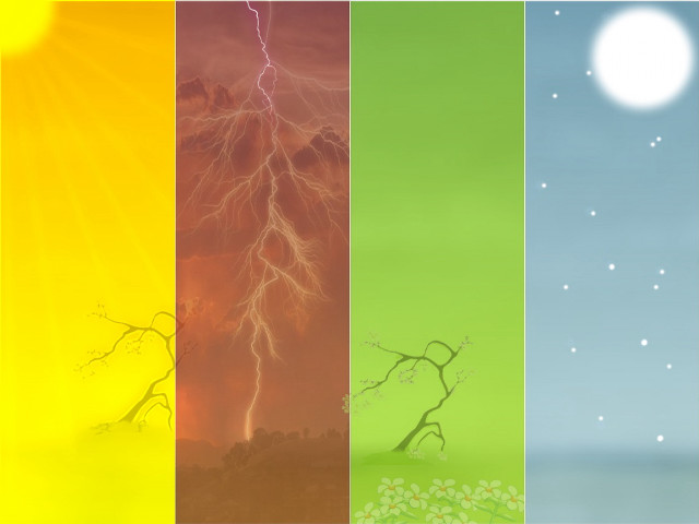 Tree sky sun branch color free wallpaper - medium preview image
