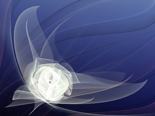 White flower blue background white #2 free wallpaper - medium preview image
