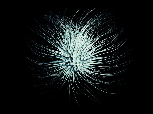 White flower black background raytraced free wallpaper - medium preview image