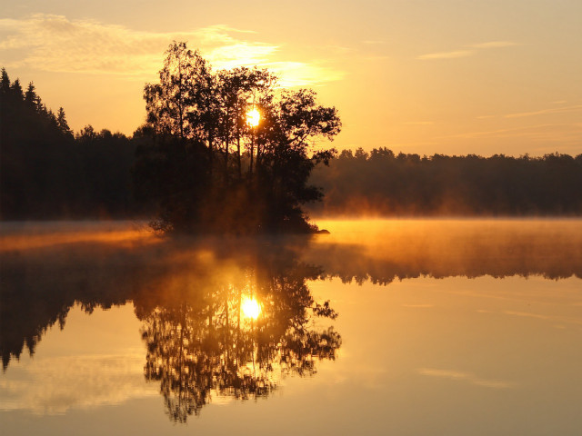 Lake tree sunset fog background #2 free wallpaper - medium preview image
