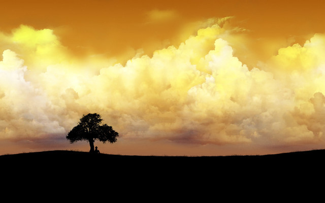 Lone tree field cloudy sky #2 free wallpaper - medium preview image