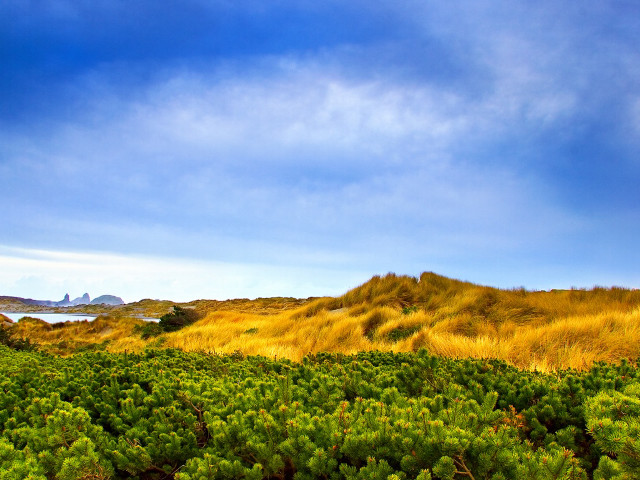 Field hill blue sky clouds #2 free wallpaper - medium preview image