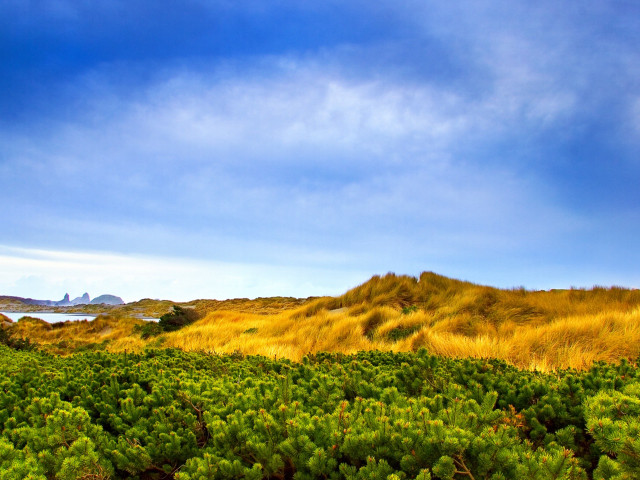 Field hill blue sky clouds #3 free wallpaper - medium preview image