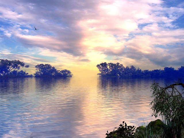 Lake bird flying trees sunset free wallpaper - medium preview image