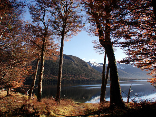 Lake trees mountains blue sky #17 free wallpaper - medium preview image