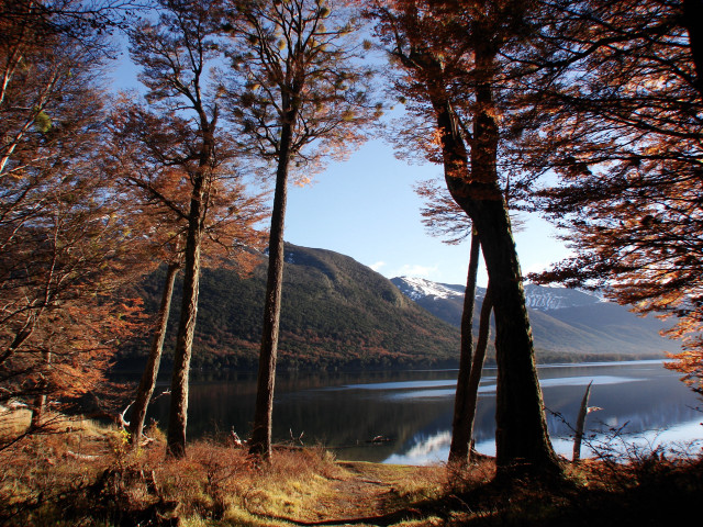 Lake trees mountains blue sky #20 free wallpaper - medium preview image