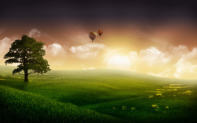 Tree hot air balloon sunset free wallpaper - medium preview image