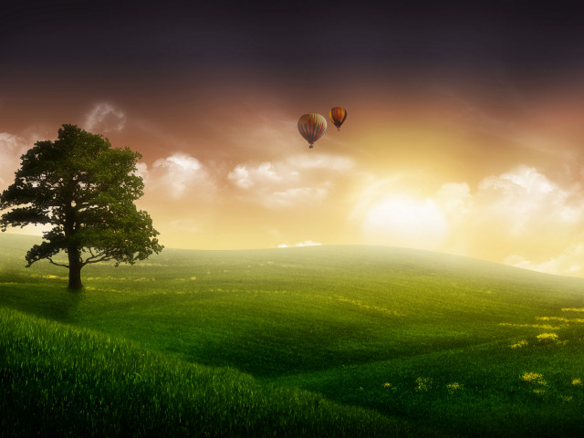 Green field tree hot air #3 free wallpaper - medium preview image