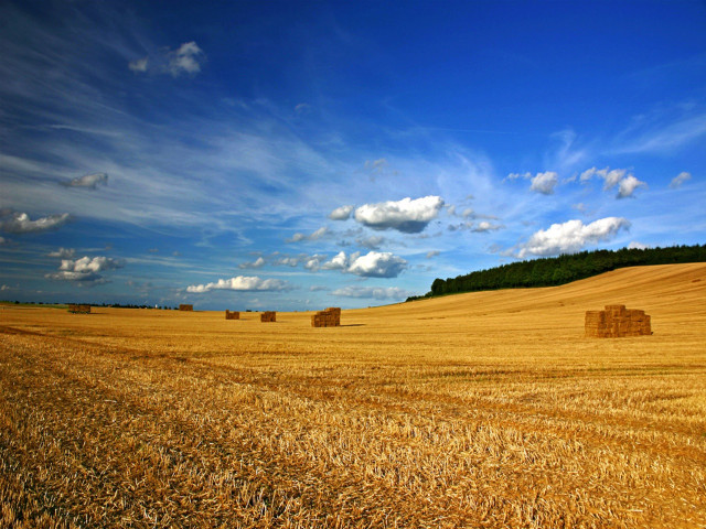 Hay field bales blue sky #4 free wallpaper - medium preview image
