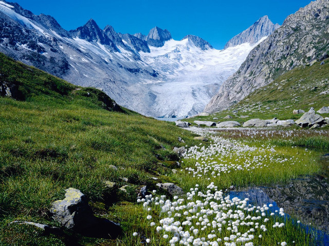 Mountain valley stream flowers grass free wallpaper - medium preview image