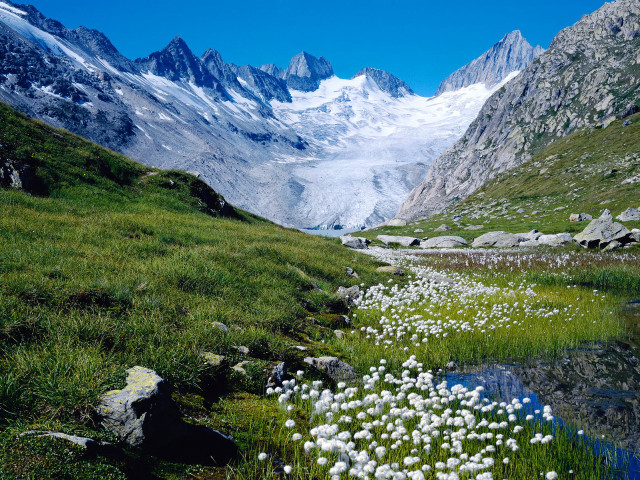 Mountain valley stream flowers grass #3 free wallpaper - medium preview image