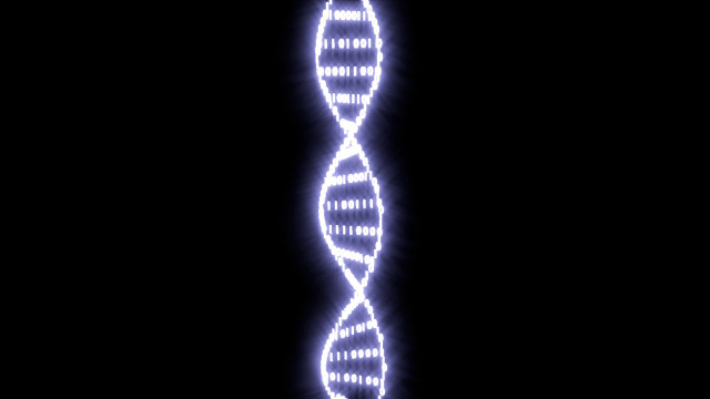 Blue white double strand black free wallpaper - medium preview image