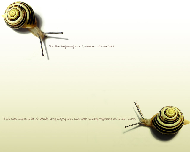 Snail caption middle image caption free wallpaper - medium preview image