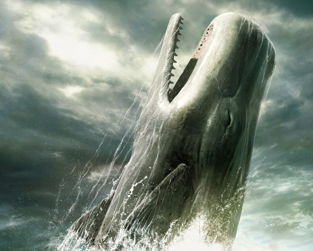 Giant whale mouth open water #3 free wallpaper - medium preview image