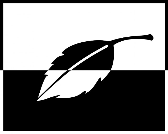 Feather black white background border #2 free wallpaper - medium preview image