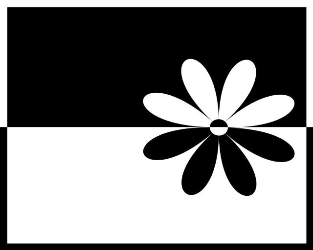 Black white flower black background free wallpaper - medium preview image