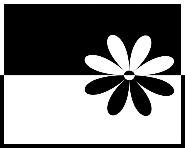 Black white flower black background #2 free wallpaper - medium preview image