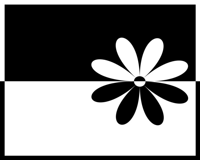 Black white flower butterfly monochrome free wallpaper - medium preview image
