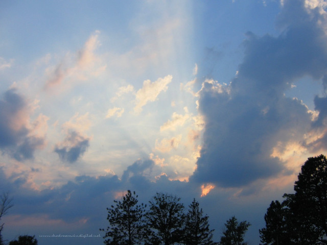Cloudy sky trees foreground blue free wallpaper - medium preview image