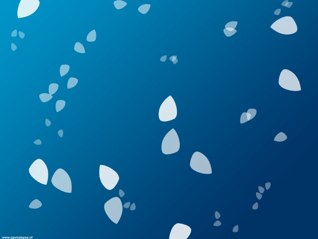 Blue background white leaves floating free wallpaper - medium preview image