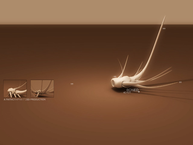 Cat tail bones background smaller free wallpaper - medium preview image