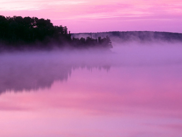 Pink sky trees water fog free wallpaper - medium preview image