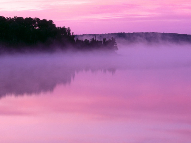 Pink sky trees water fog #4 free wallpaper - medium preview image