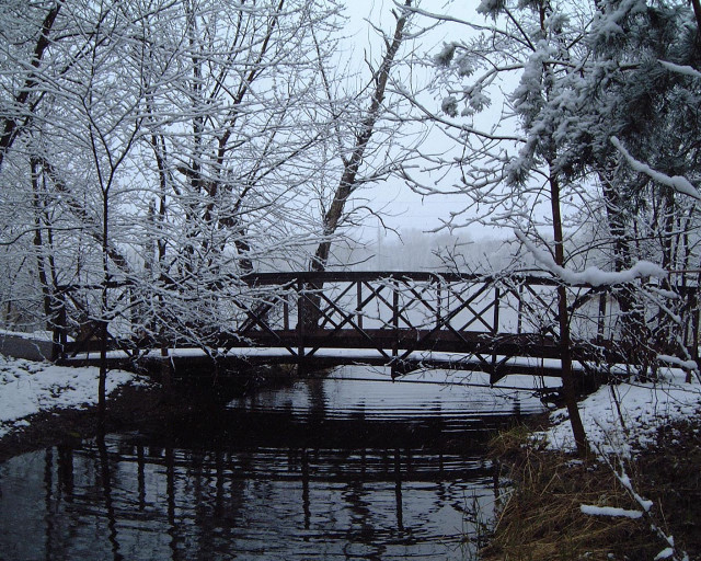Bridge snowy forest river snow #2 free wallpaper - medium preview image