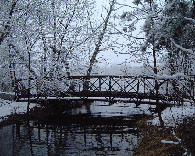 Bridge snowy forest river snow #3 free wallpaper - medium preview image