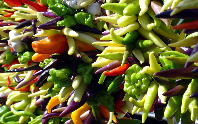 Colored peppers vegetables table bowl free wallpaper - medium preview image