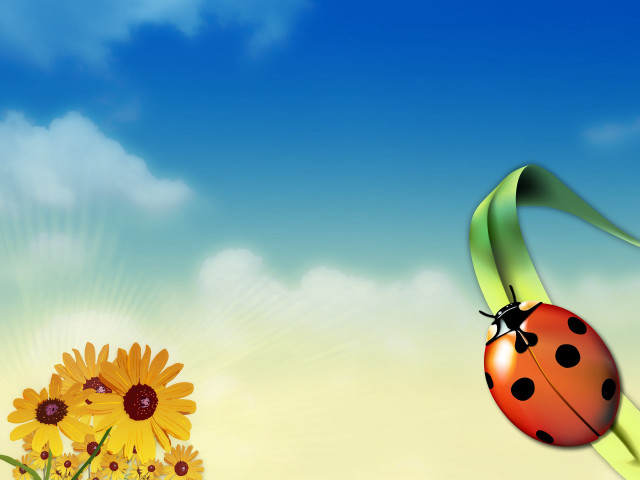 Ladybug flower sunflower blue sky #4 free wallpaper - medium preview image