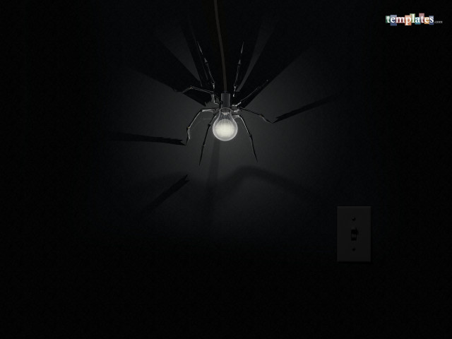 Spider lamp dark lightbulb crawling #4 free wallpaper - medium preview image