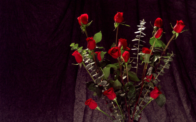 Vase red roses table black free wallpaper - medium preview image
